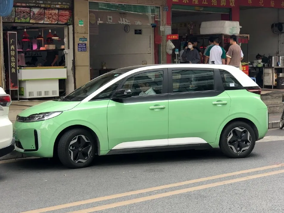 BYD D1